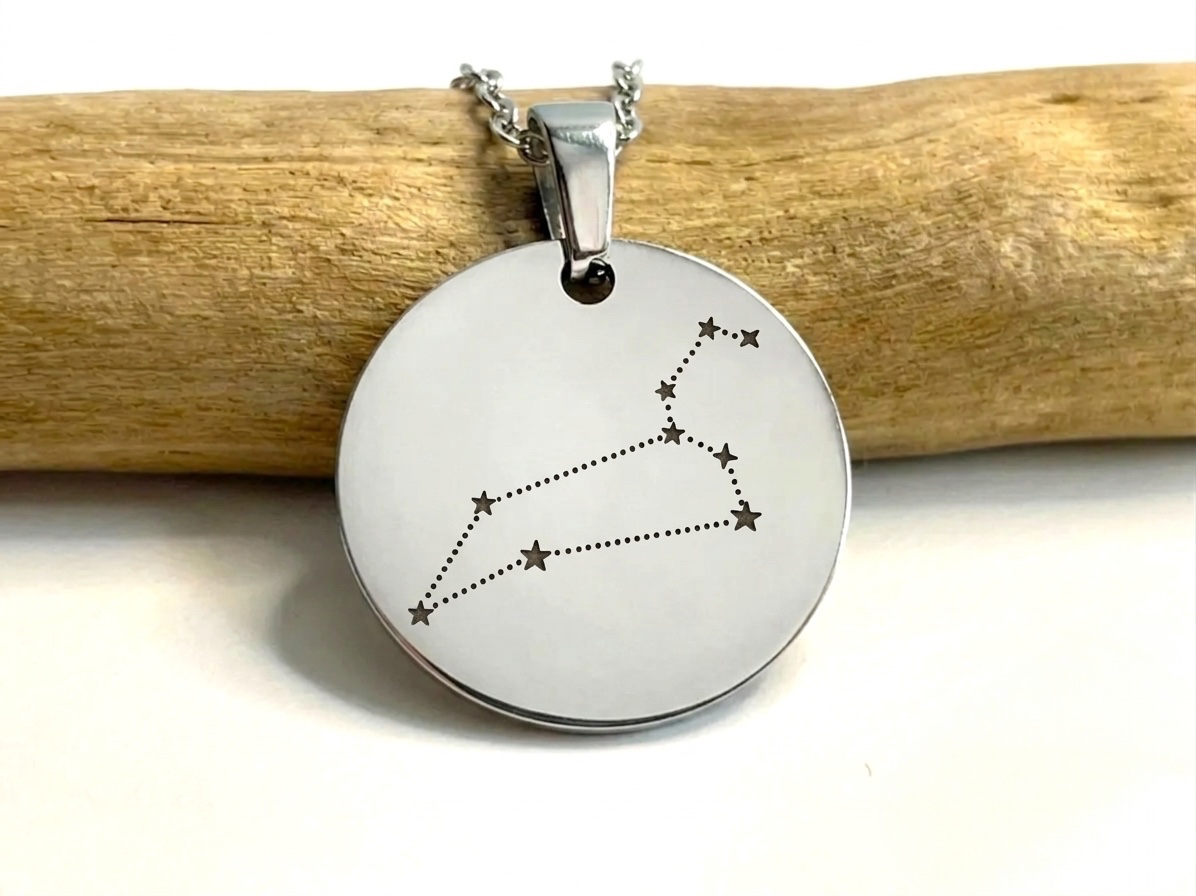 Collier médaille argentée gravée de la constellation du Lion, suspendu à une branche de bois