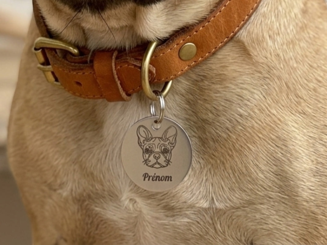 Médaille chien gravée d'un portrait de race portée au collier d'un carlin